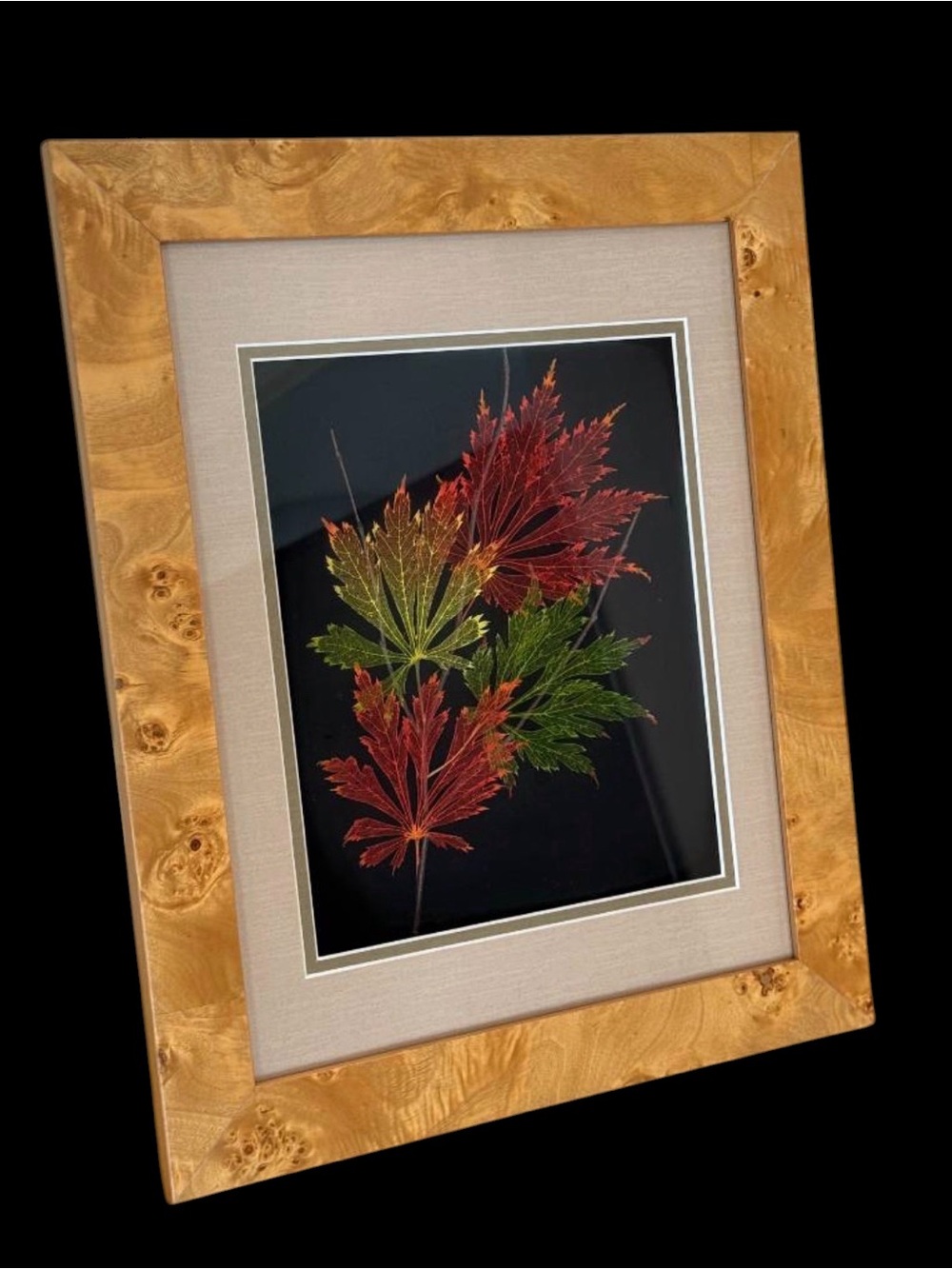 Vintage Booker Morey LeafLines LLC Signed 3D Leaf Shadow Box Art #13-967